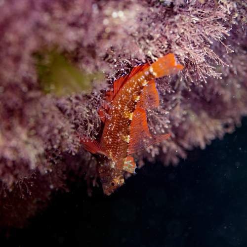 Photo #11422845