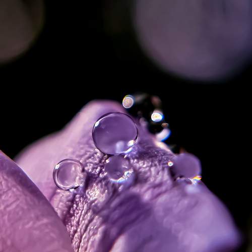 Photo #11422910