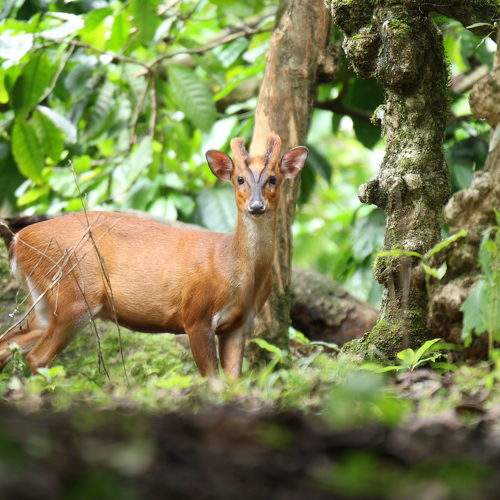 Photo #11423600