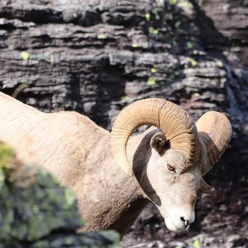 Photo #11424023