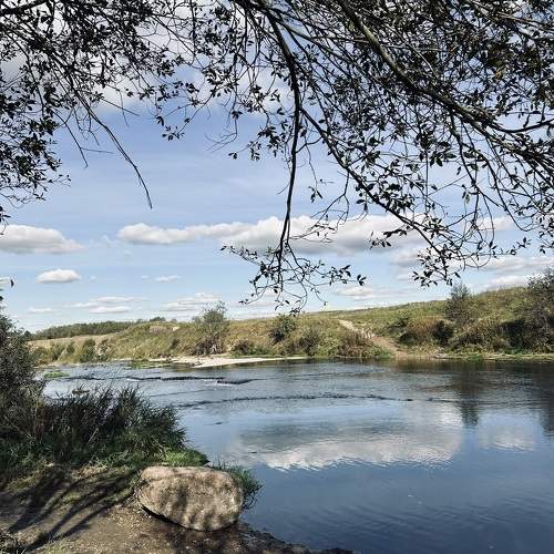 Photo #11424051