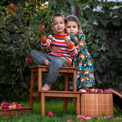 Photo #11424565