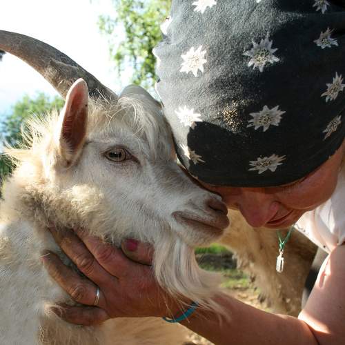 Photo #11424978