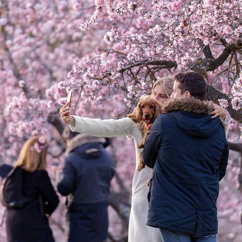 Photo #11425363