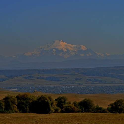 Photo #11425366