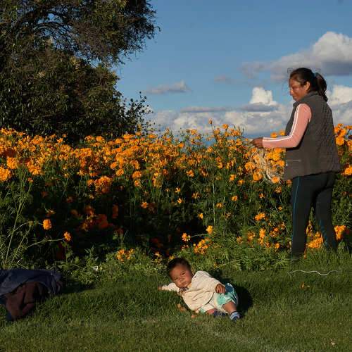 Фотография #11425669