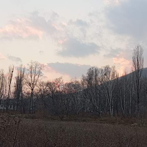 Photo #11425823