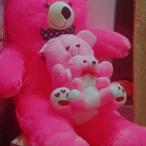 Photo #11425875