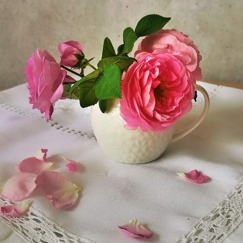 Photo #11425981