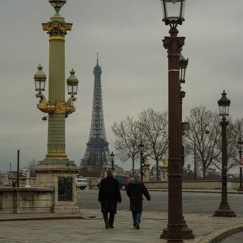 Photo #11426346