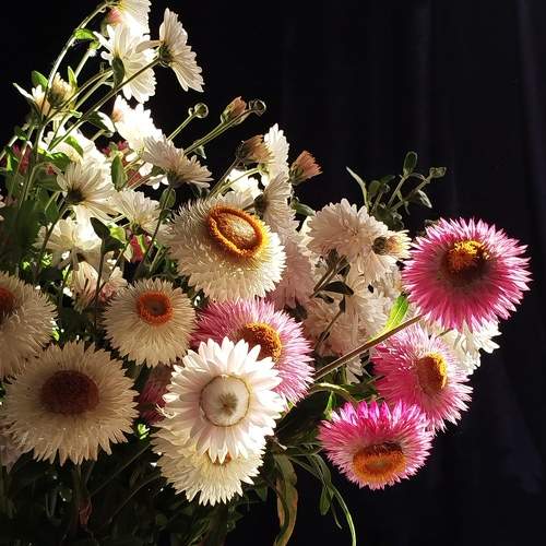Photo #11426348