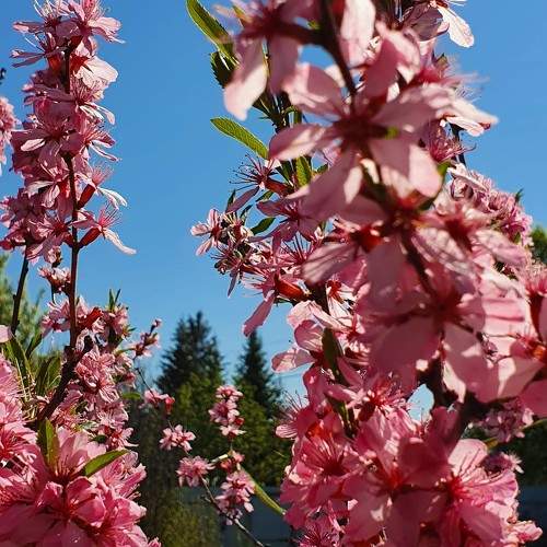 Photo #11426413
