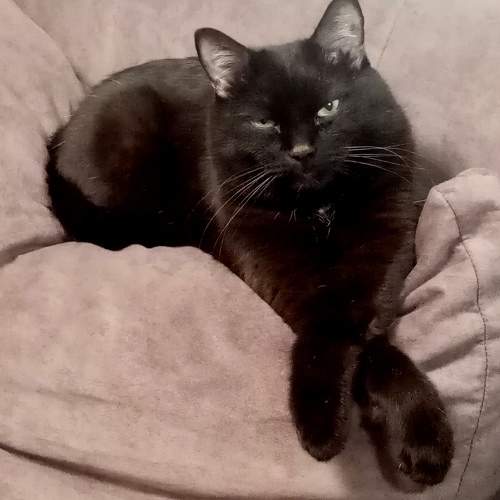 Photo #11426547