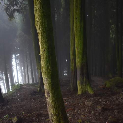 Photo #11426669