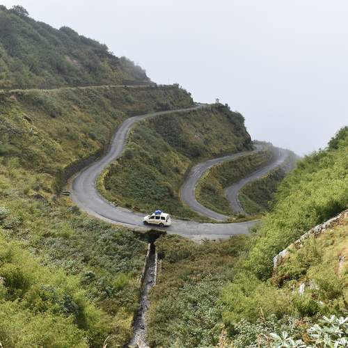 Photo #11426683