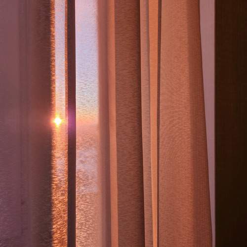 Photo #11427280
