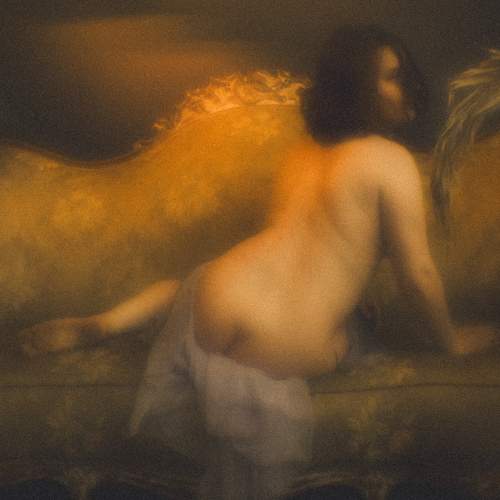 Photo #11427491
