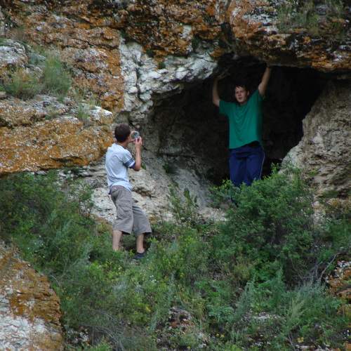 Photo #11427770