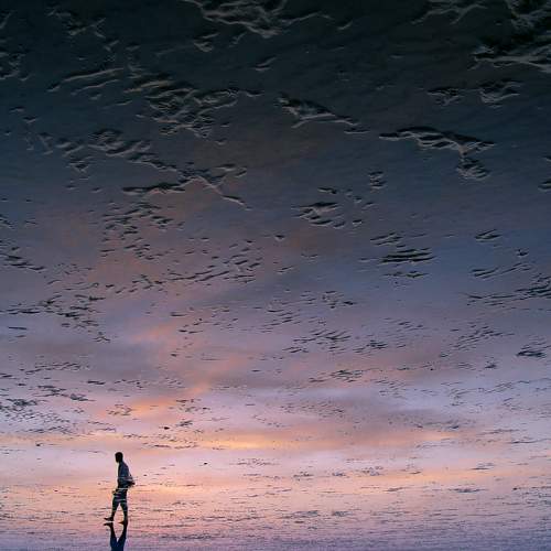 Photo #11427842