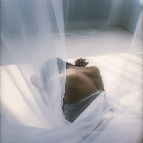 Photo #11427932