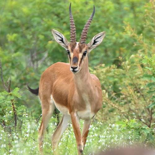 Photo #11428374