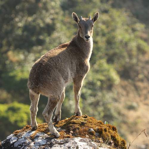 Photo #11428391
