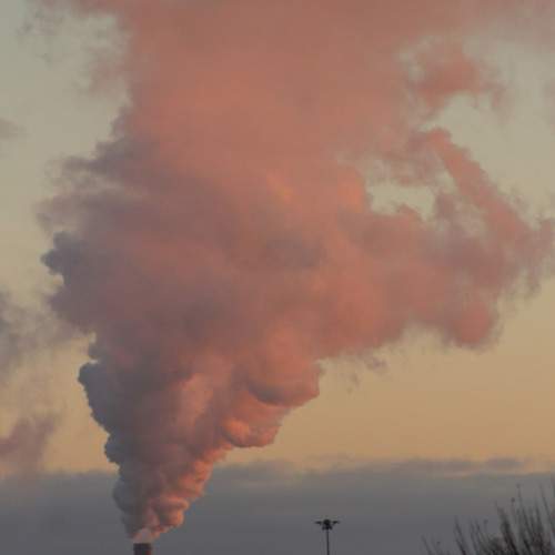 Photo #11428413