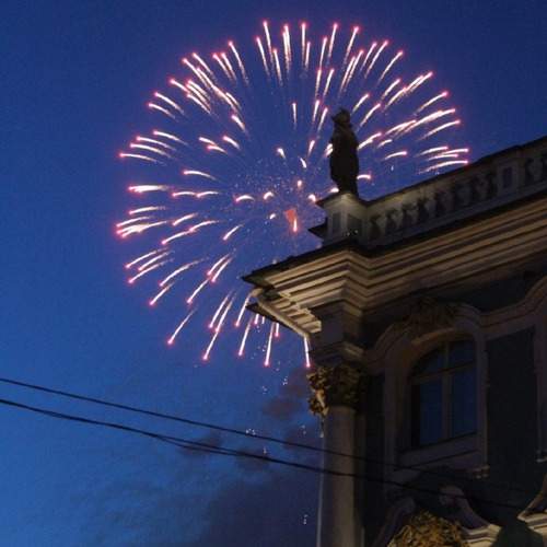 Photo #11428414