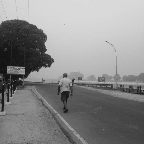 Photo #11428650
