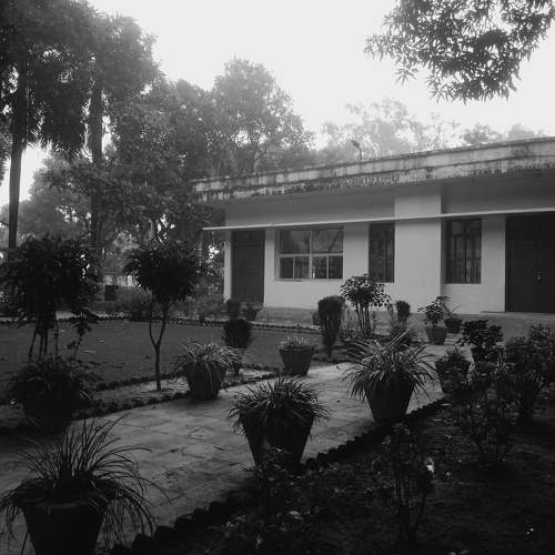 Photo #11428653