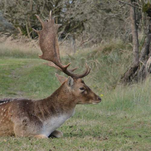 Фотография #11428877