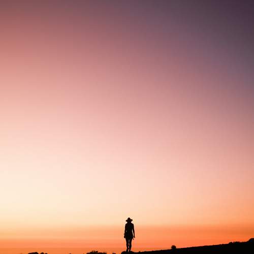 Photo #11428904