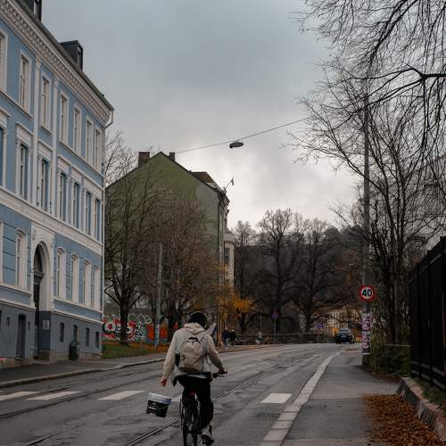 Photo #11428965