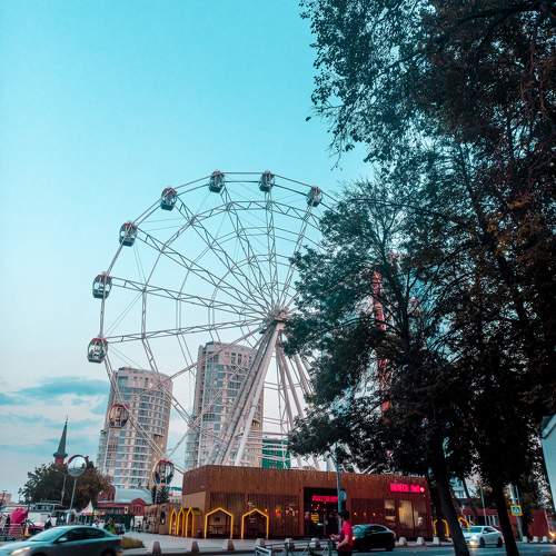 Photo #11429051