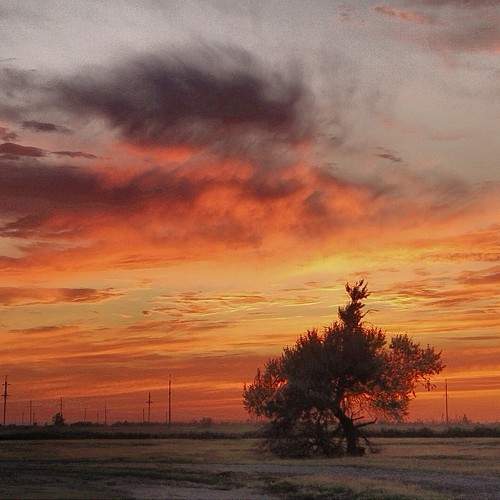 Photo #11429298