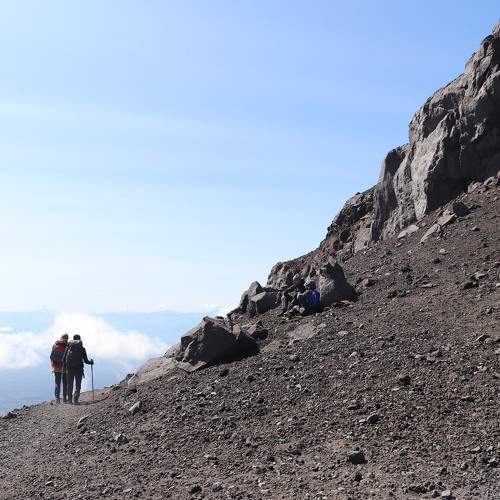 Photo #11429350