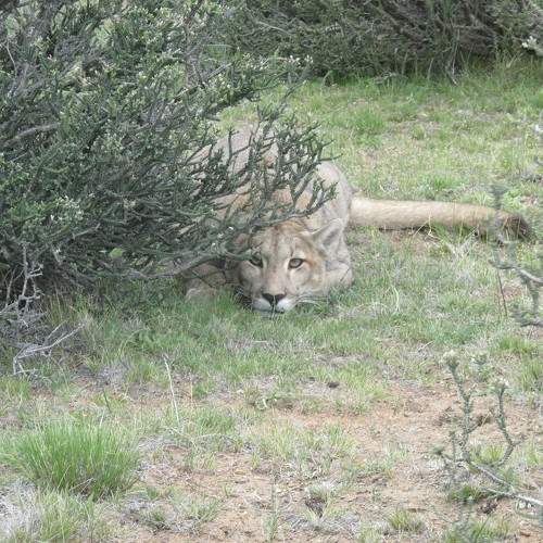 Photo #11429437