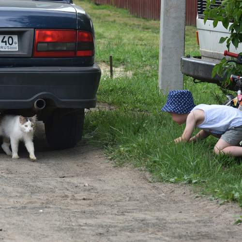 Photo #11429481