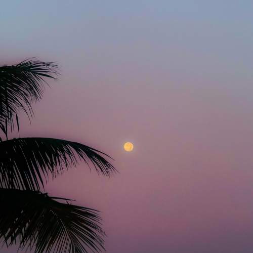 Photo #11429606