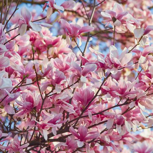 Photo #11429999