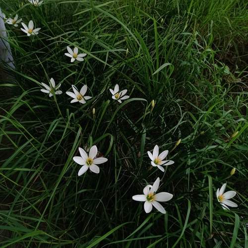 Photo #11430401