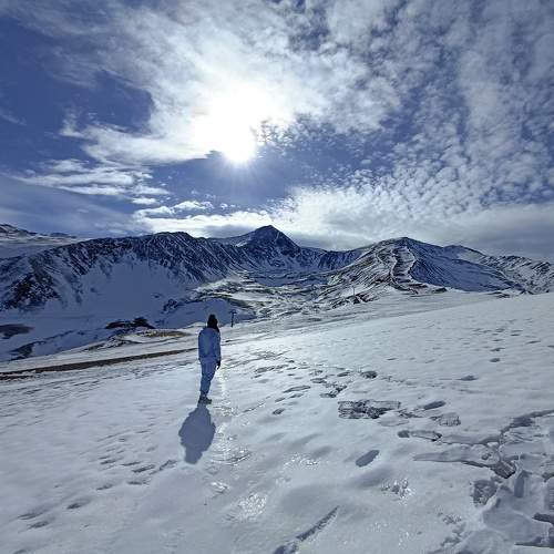 Photo #11430576