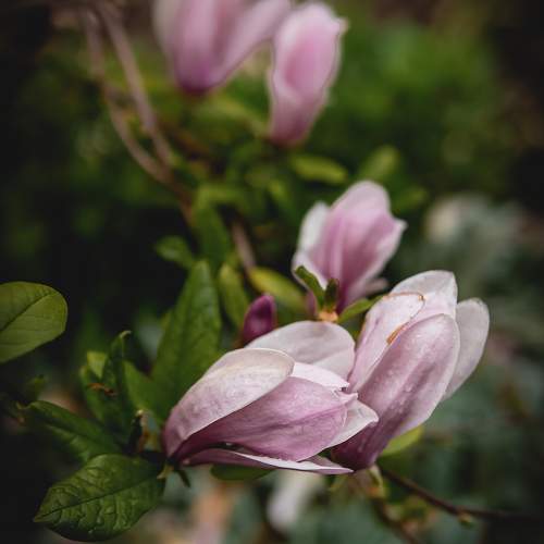 Photo #11430768