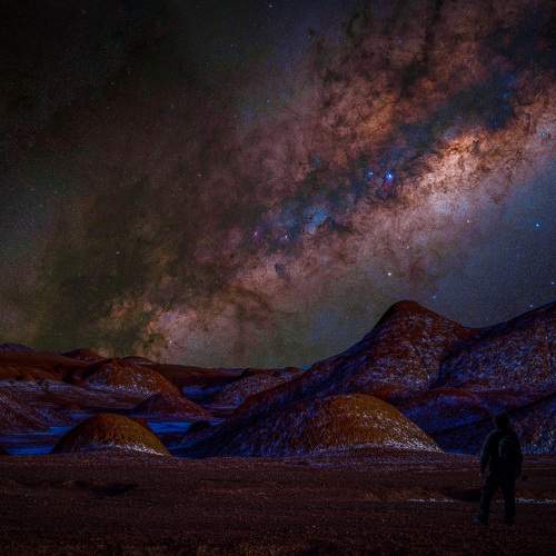 Photo #11431017