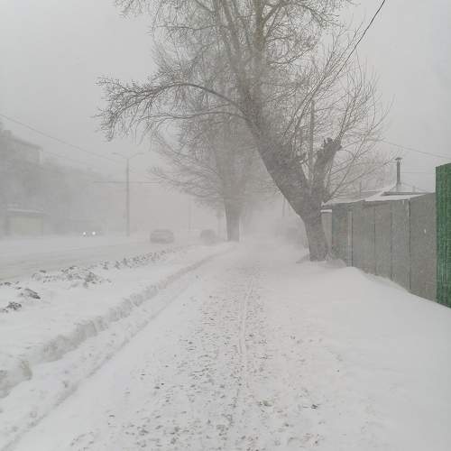 Photo #11431158