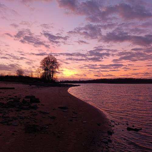 Photo #11431160