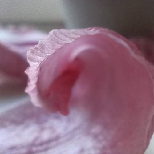 Photo #11431374