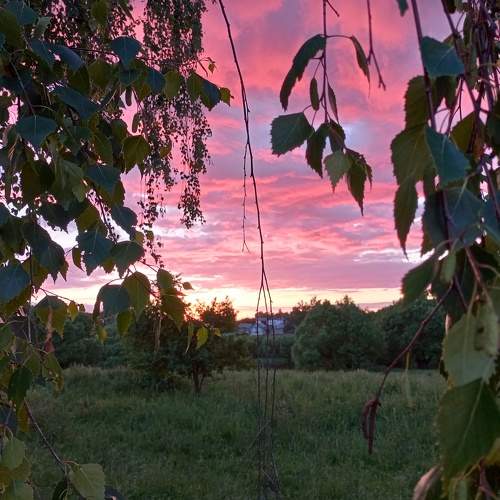 Photo #11432080