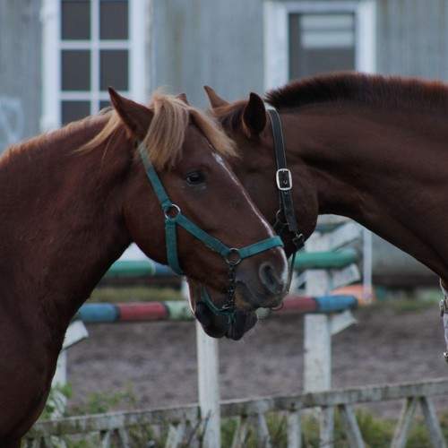 Photo #11432764