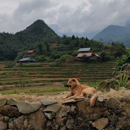 Photo #11432907